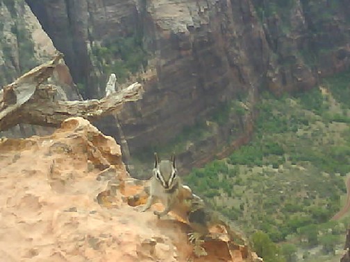 Zion May 208.jpg